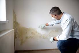 Best Mold-Related Health Consultation  in USA